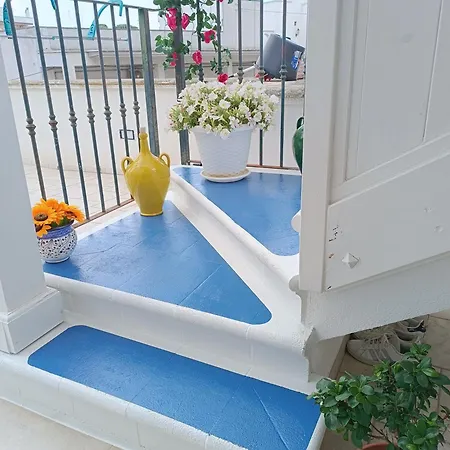 M&g Maison 아파트